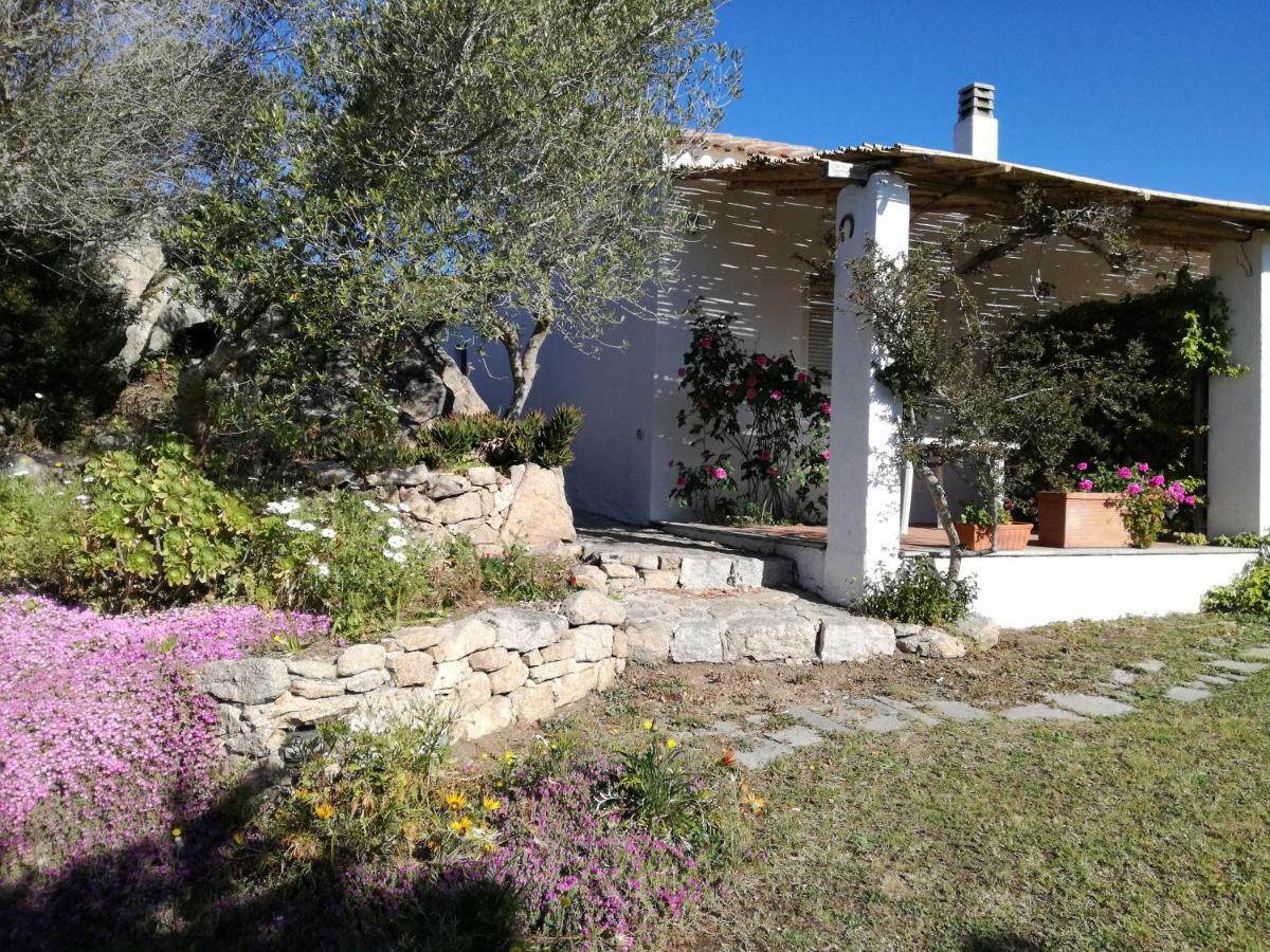 فندق سانتا تيريزا غالّورافي  Agriturismo La Valletta المظهر الخارجي الصورة